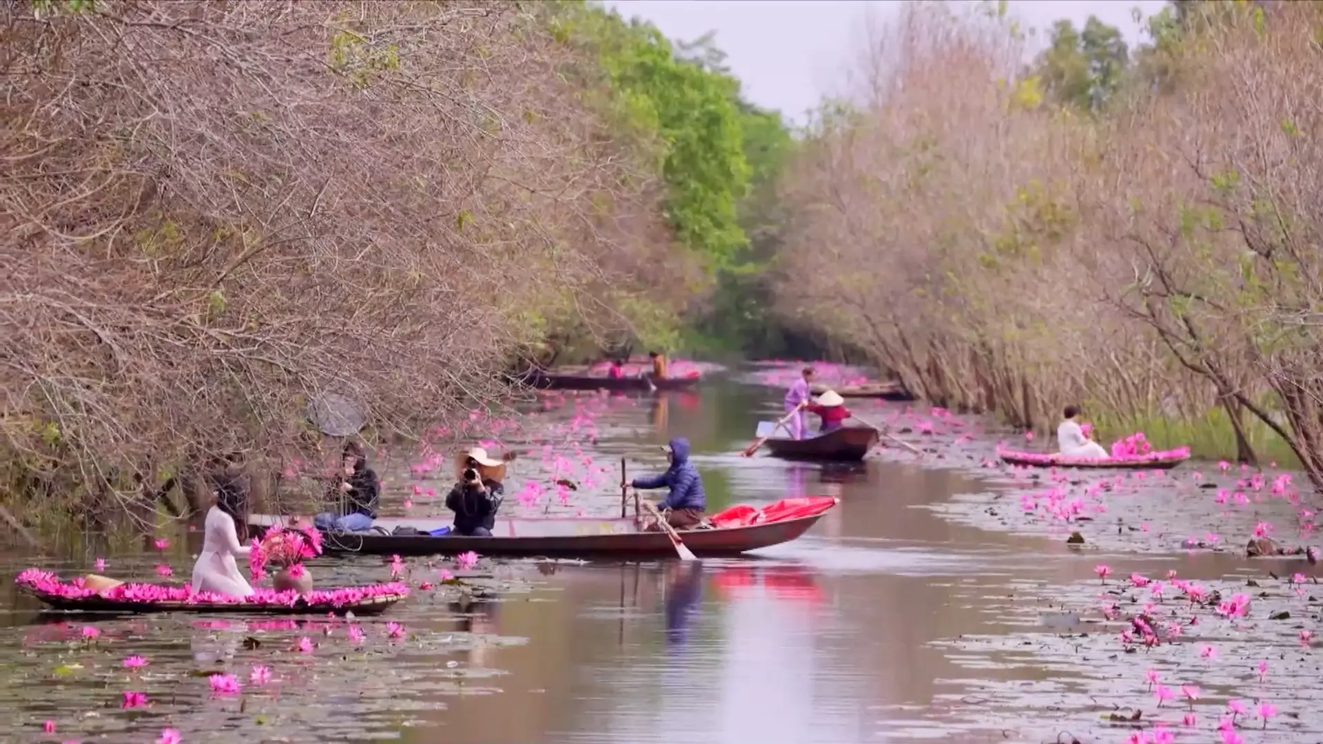 Suối Yến mùa hoa súng